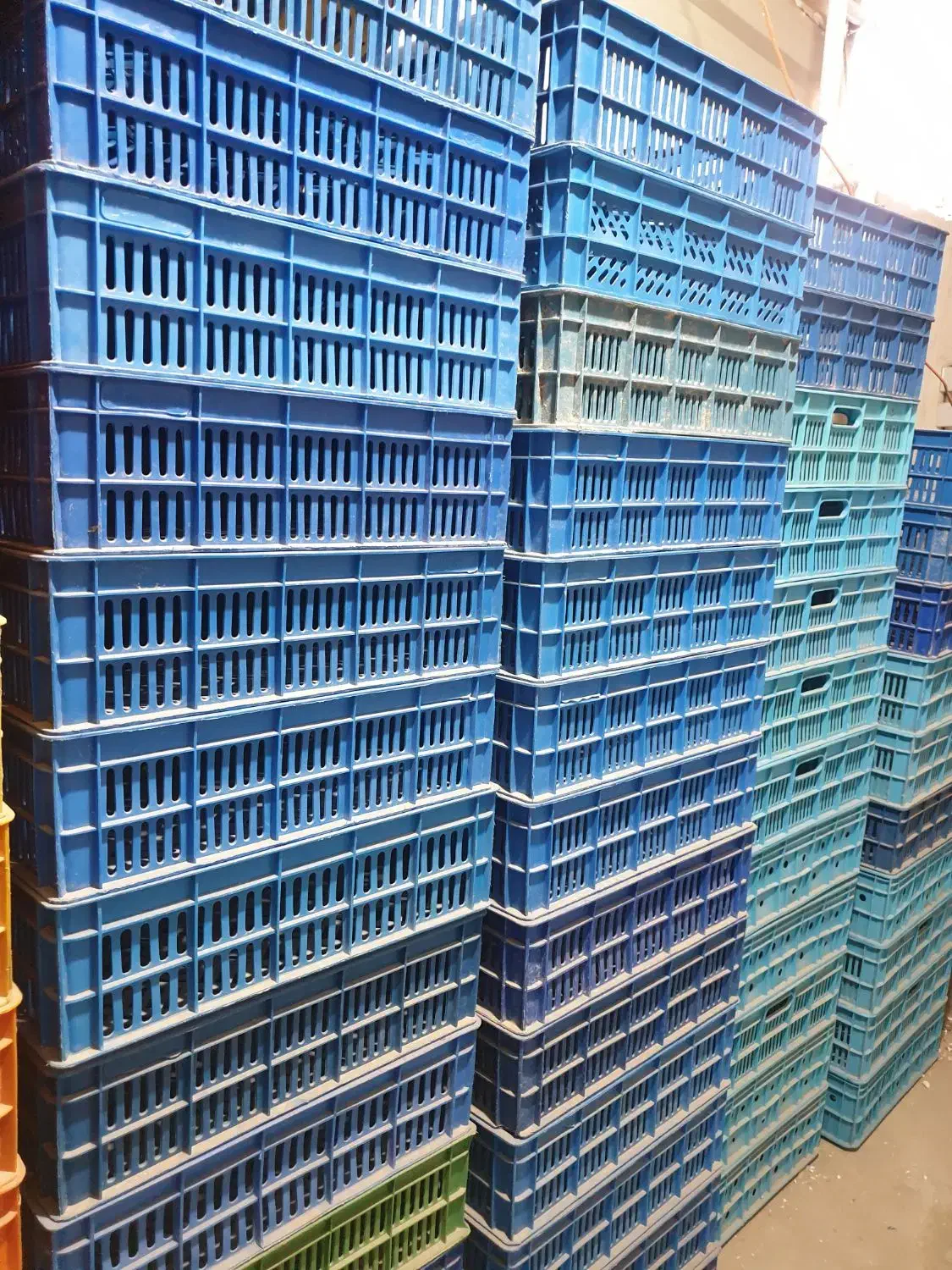 سبد شرکتی|فروشگاه و مغازه|لامرد, |دیوار