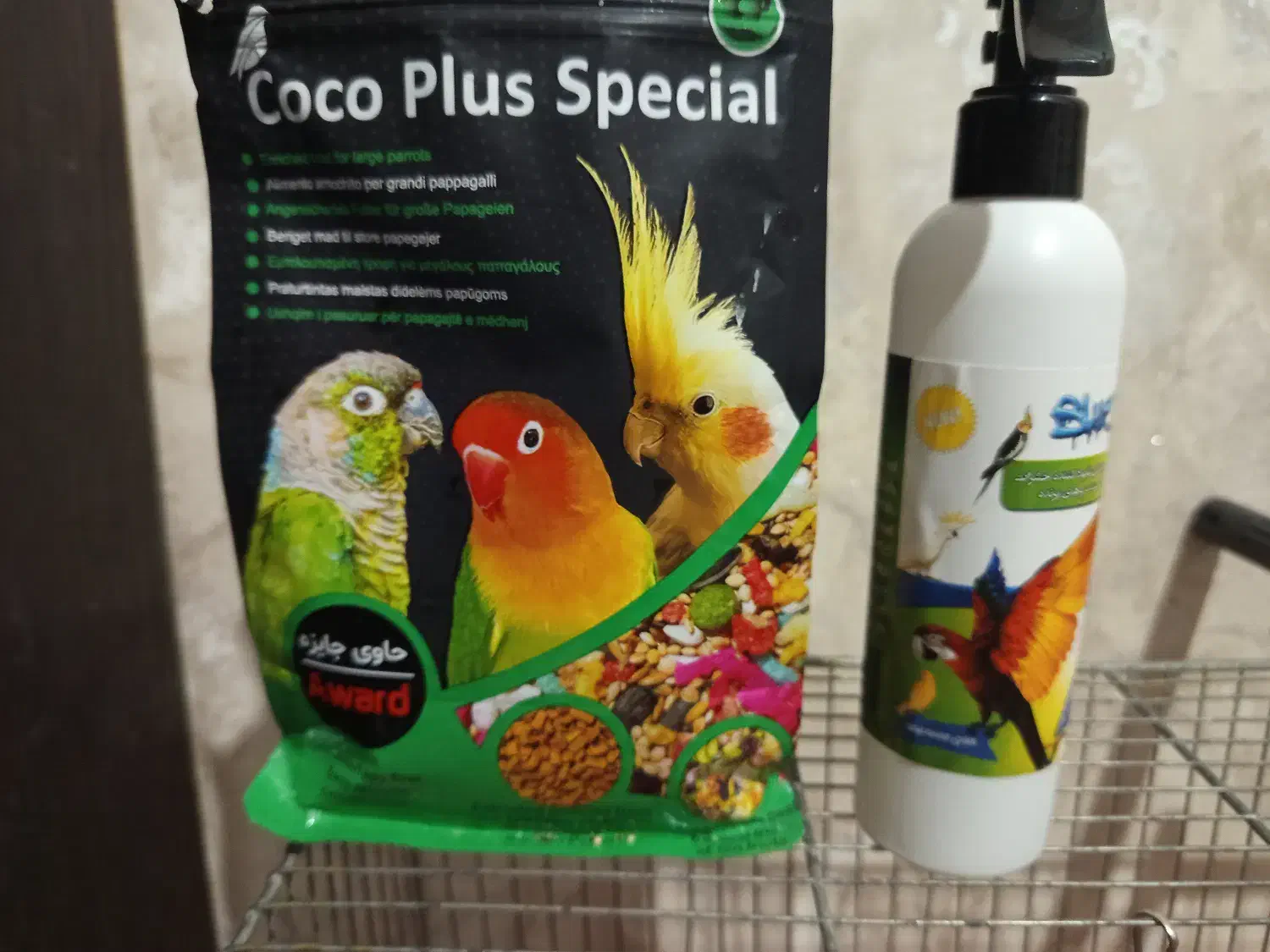 دو عدد عروس هلندی نرو ماده تخم گذار|پرنده|گلستان (تهران), |دیوار