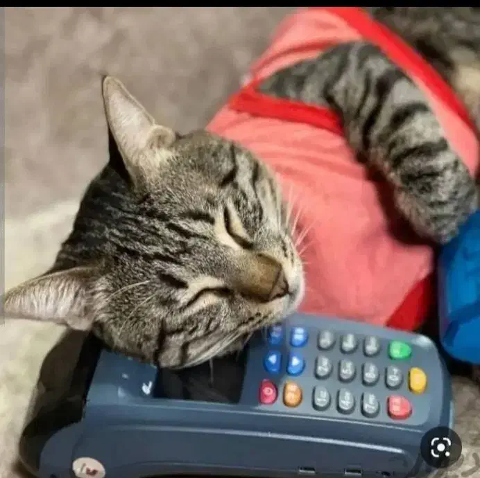 کارتخوانD230/S915/I90/p10 کمترین درصدمالیات کشلسM7|فروشگاه و مغازه|اصفهان, سرچشمه|دیوار