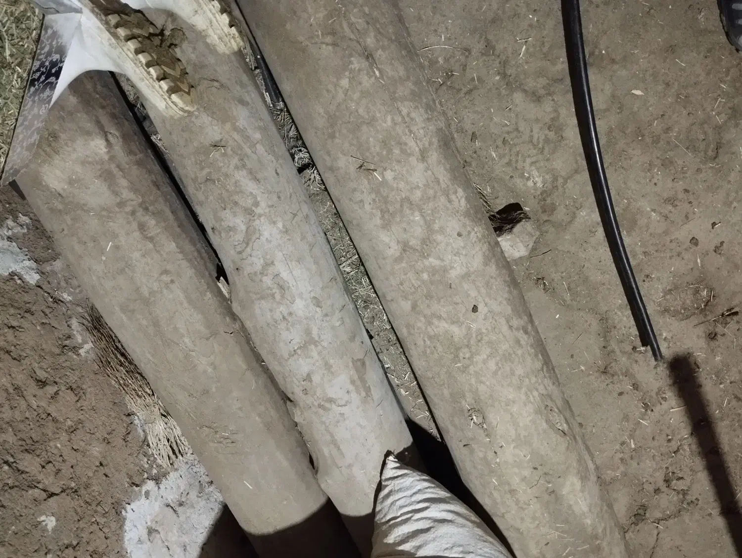 درخت چنار|مصالح و تجهیزات ساختمان|موچش, |دیوار