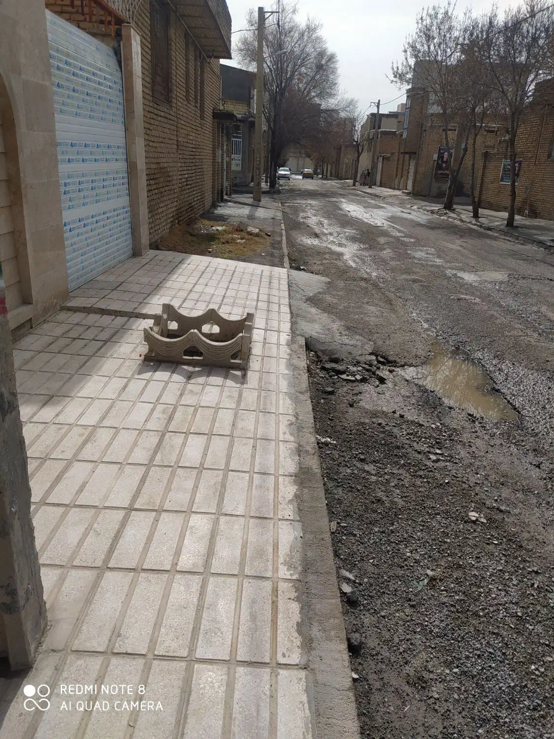 سگ گم شده|حیوانات|کرمانشاه, |دیوار