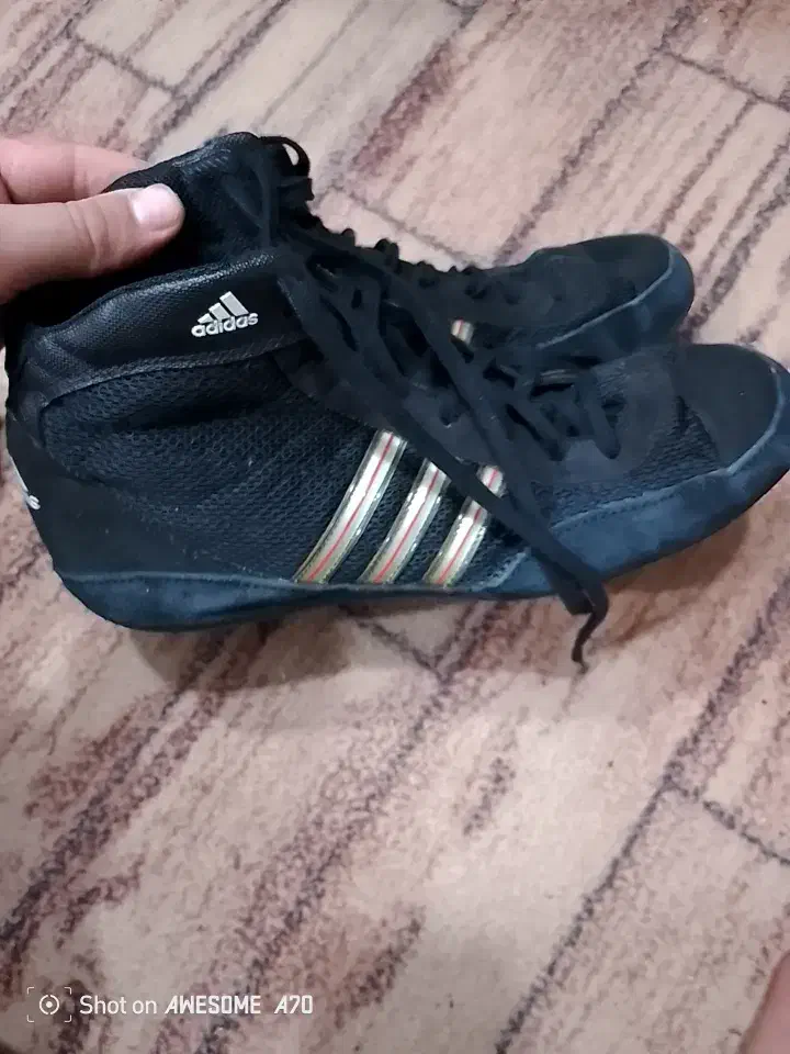 کفش کشتی آدیداس اورجینال اکبند|کیف، کفش، کمربند|آمل, |دیوار