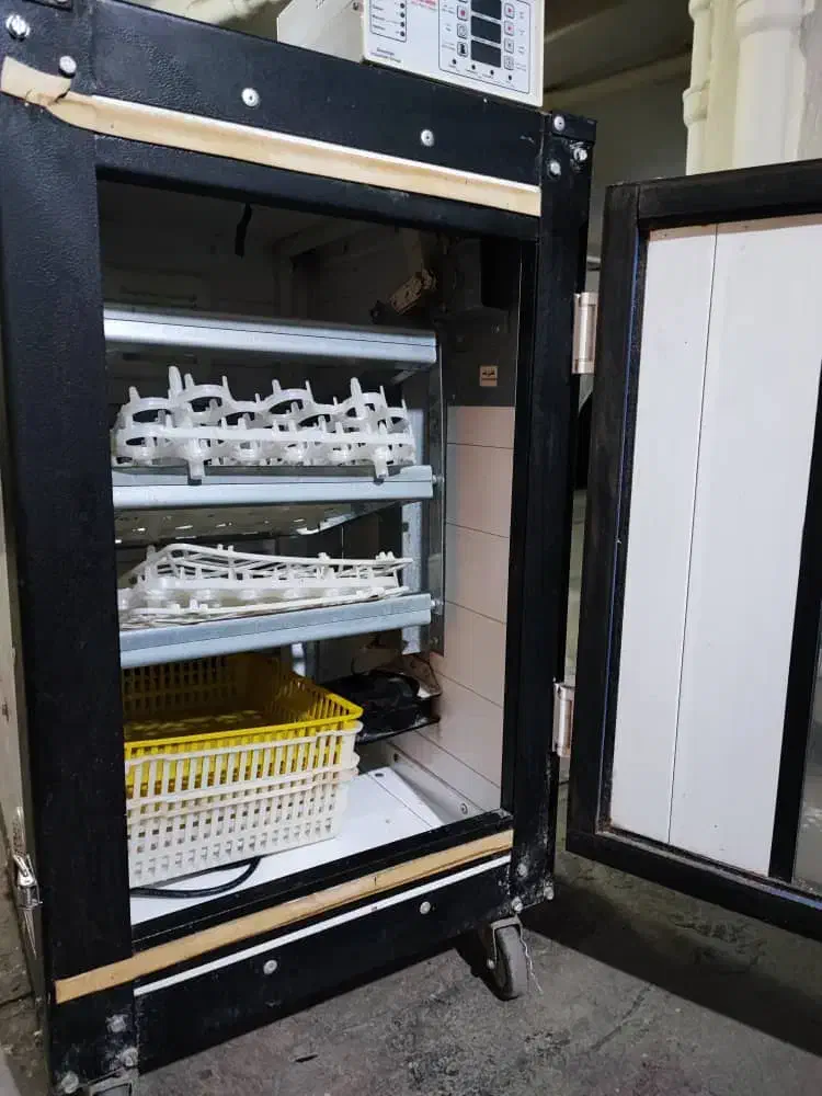 دستگاه جوجه کشی|لوازم جانبی حیوانات|کرج, مهرویلا جنوبی|دیوار