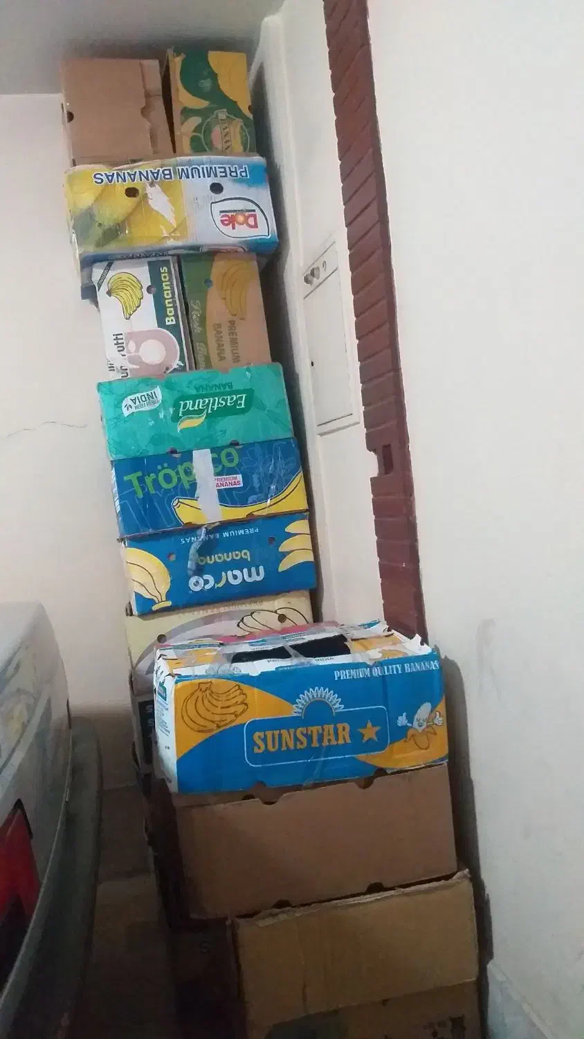 ۲۰ عددکارتون موزی سالم مناسب اسباب کشی|حراج|تهران, سازمان برنامه شمالی|دیوار