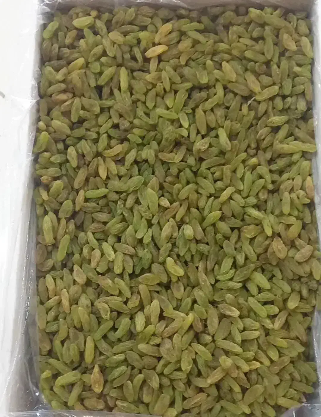 کشمش سبز|خوردنی و آشامیدنی|فرح دشت, |دیوار