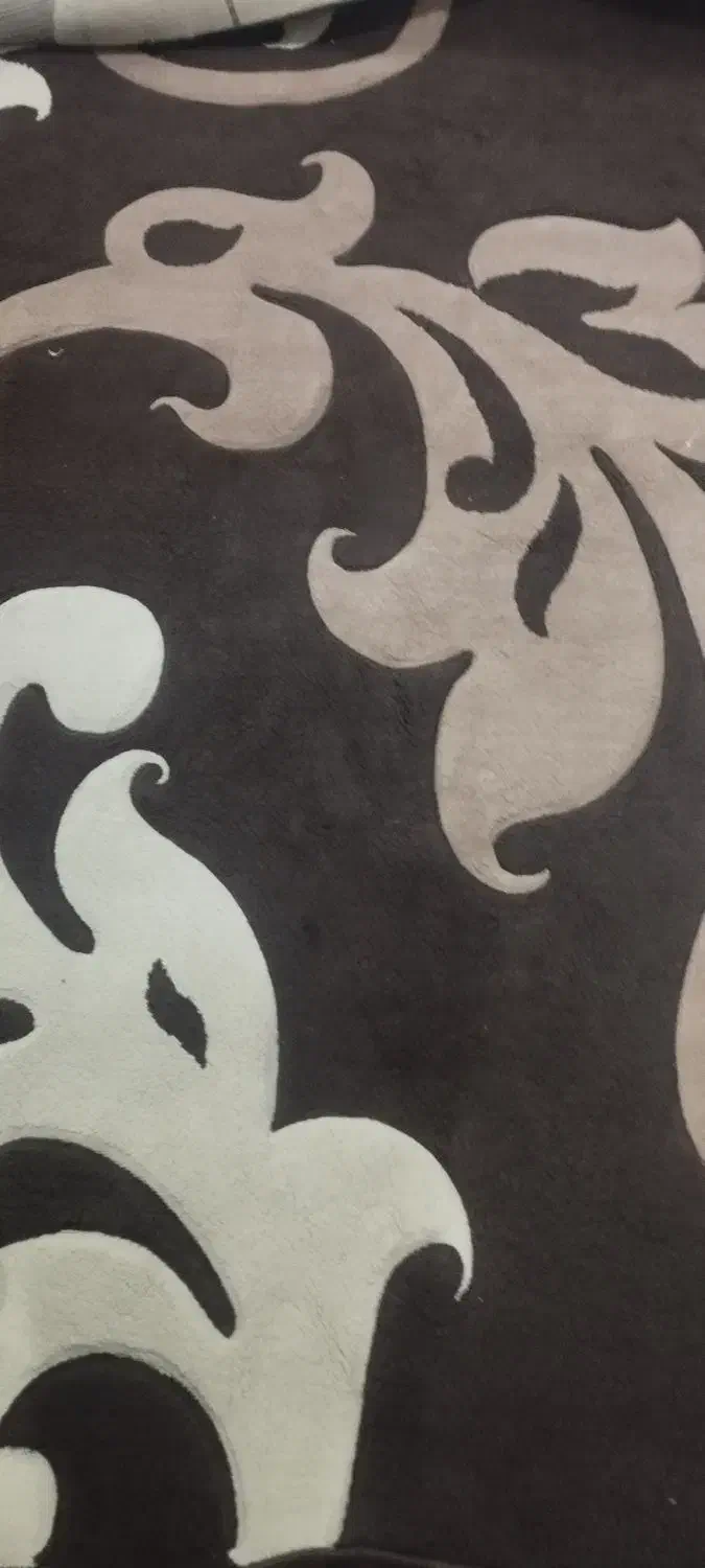 فرش 6متری|فرش|مرودشت, فرهنگ|دیوار