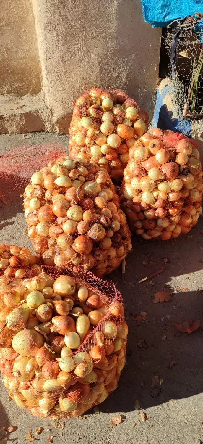 پیاز|خوردنی و آشامیدنی|بروجرد, |دیوار