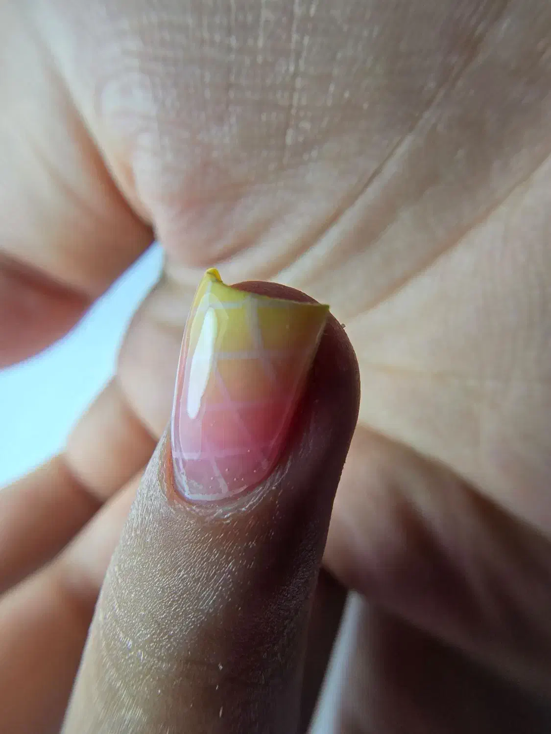 اموزش ناخن با کمترین هزینه ولی اصولی|خدمات آرایشگری و زیبایی|رشت, شالکو|دیوار