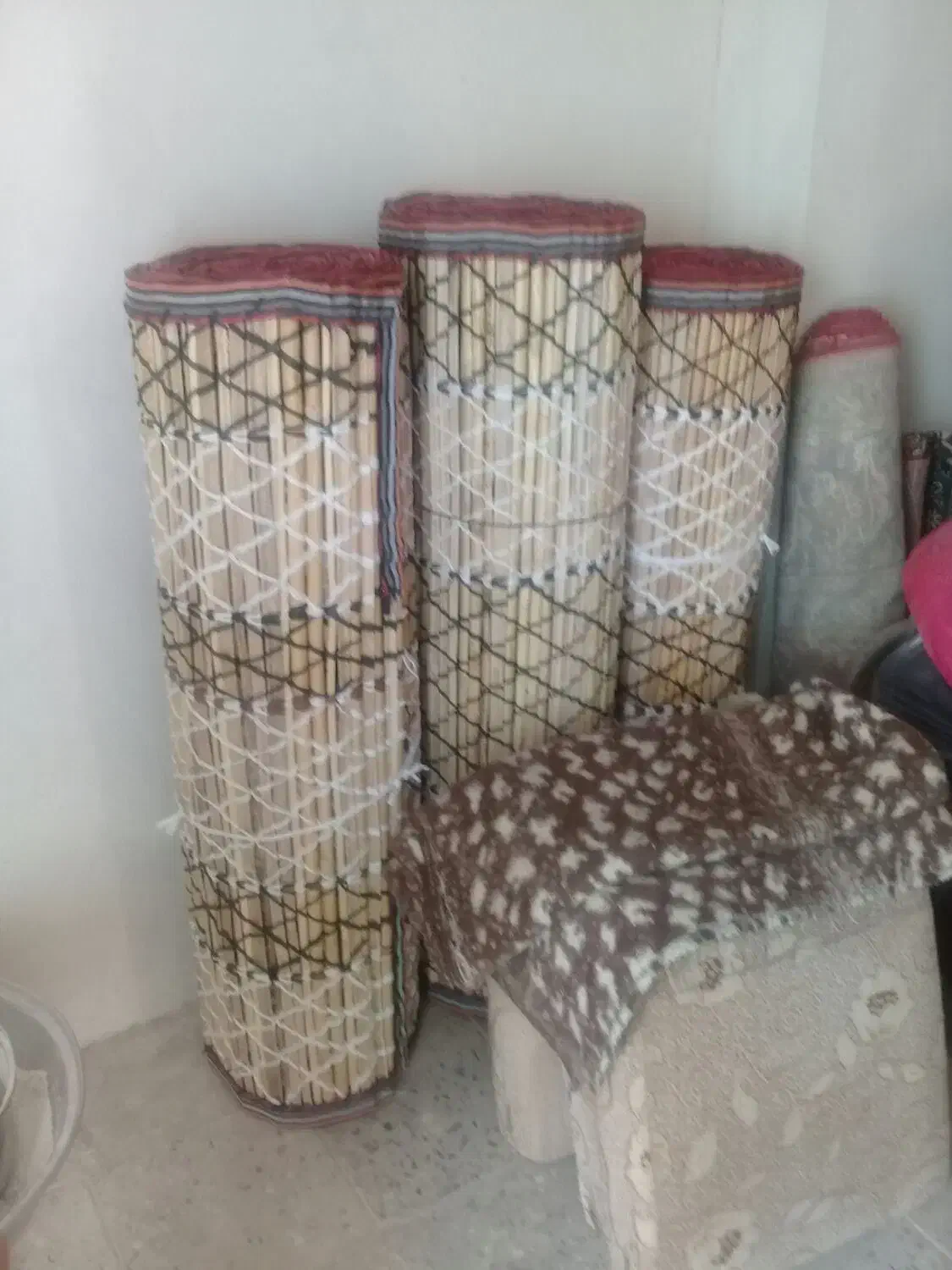 5عدد چیت ۳عدد بزرگ و ۲عدد کوچک.ایوان|فرش|ایوان, |دیوار