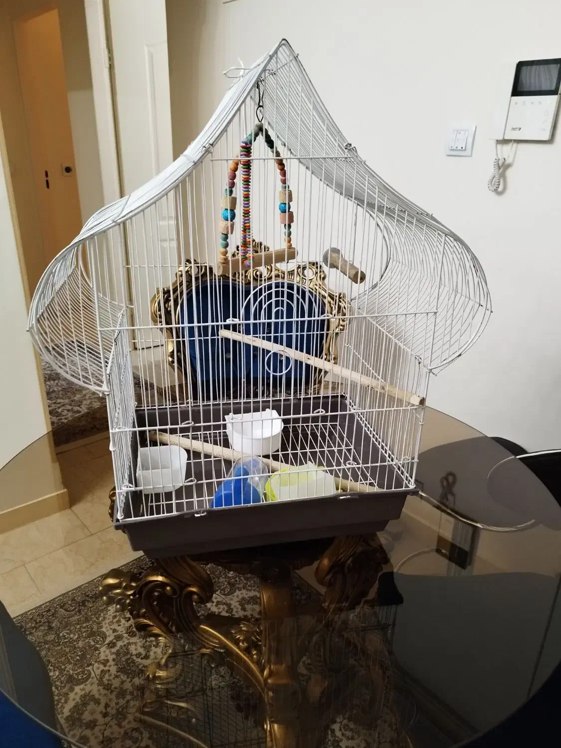 قفس پرنده|لوازم جانبی حیوانات|فردیس, نگارستان|دیوار