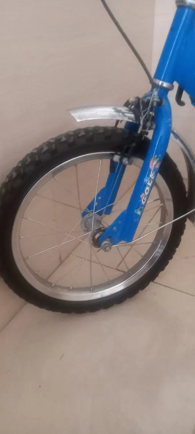 دوچرخه برندگلف بچه گانه|دوچرخه، اسکیت، اسکوتر|مشهد, شهرک امام هادی (شهرک غرب)|دیوار