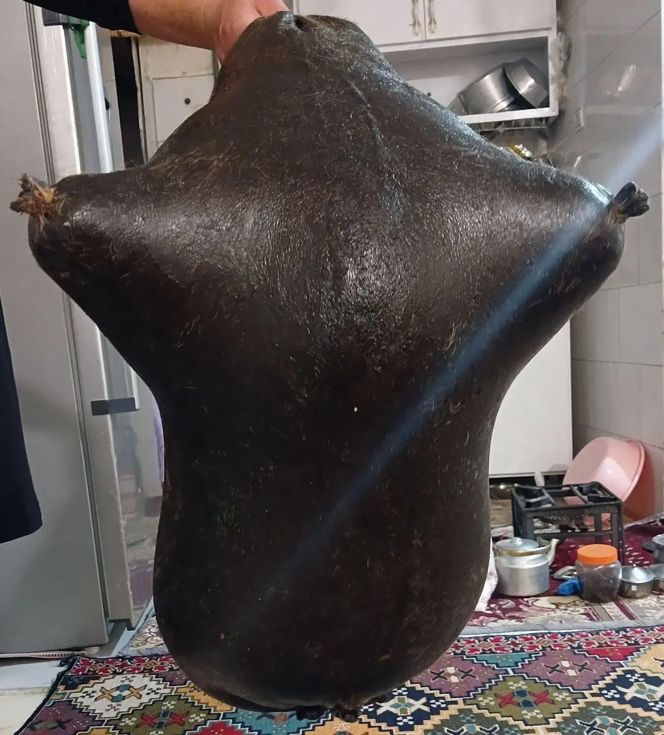 در ظروف نگهدارنده پلاستیکی|ظروف نگهدارنده، پلاستیکی، یک‌بارمصرف|گهواره, |دیوار