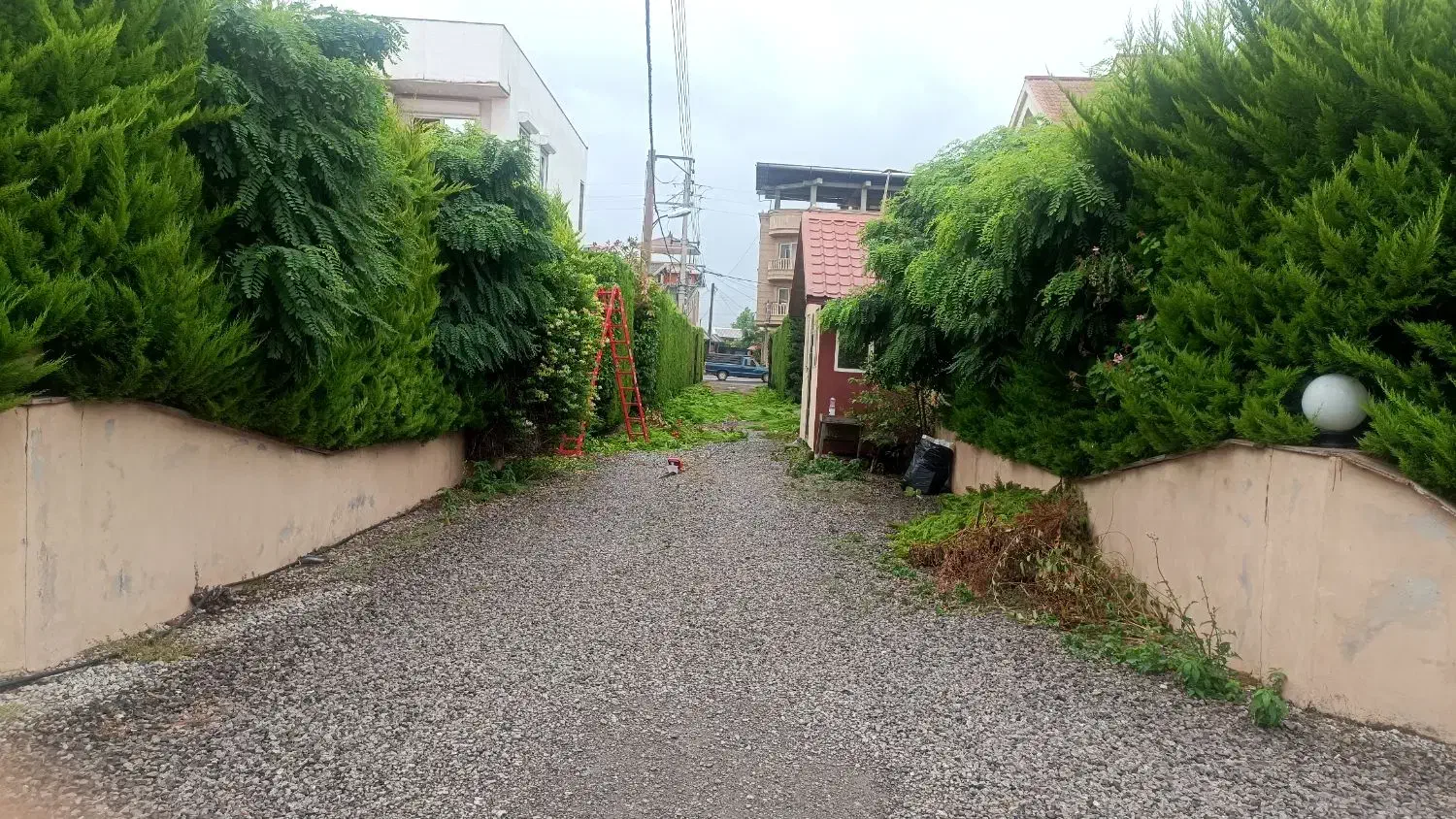 باغبانی و باغچه سازی|خدمات باغبانی و درختکاری|آمل, |دیوار