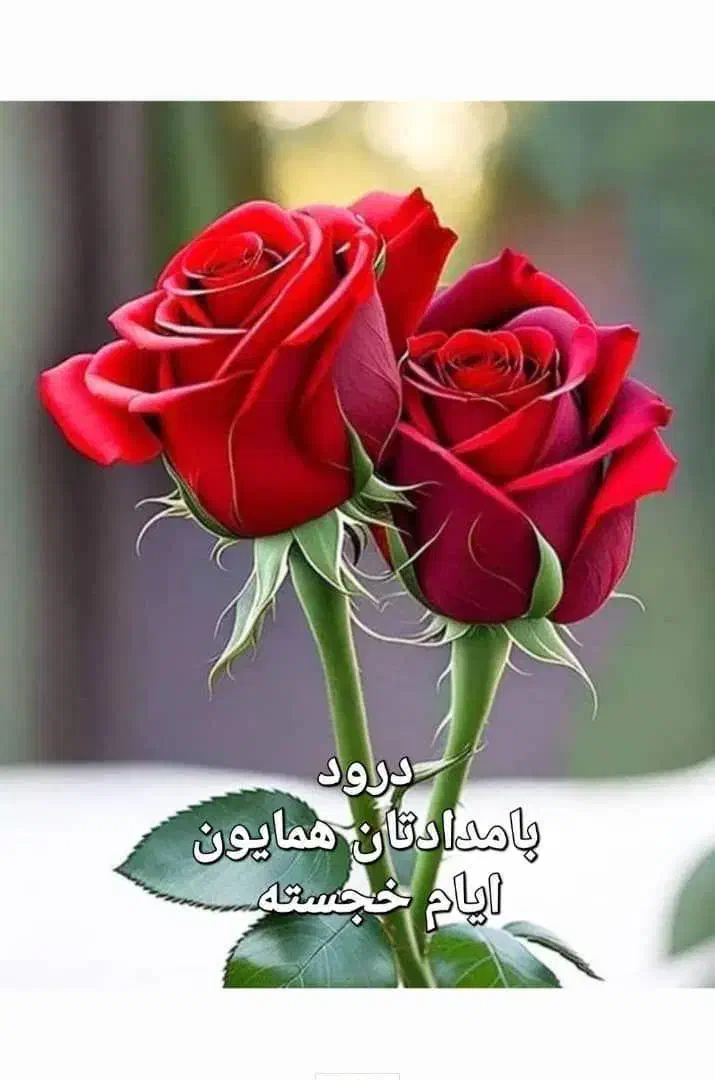 پول|فعالیت داوطلبانه تحقیقاتی|تهران, بریانک|دیوار