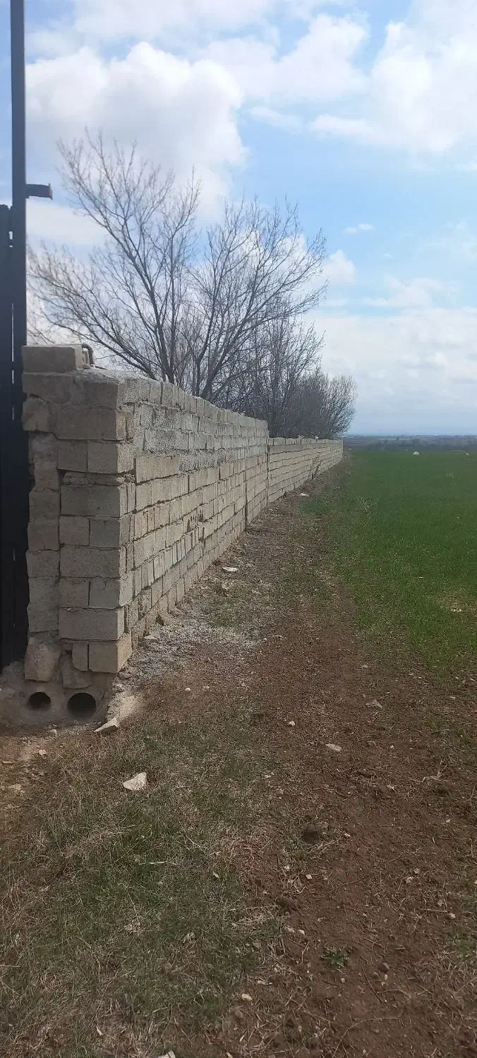 گاوداری ۱۵۰ راسی|فروش دفتر صنعتی، کشاورزی، تجاری|ثمرین, |دیوار