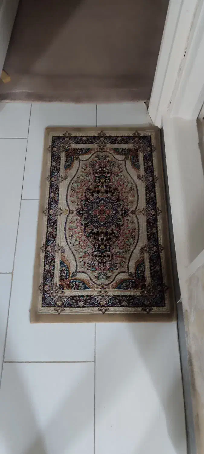 دوعدد پادری گردویی زخیم درحد نو|پادری|پاکدشت, پاکدشت (مامازند)|دیوار