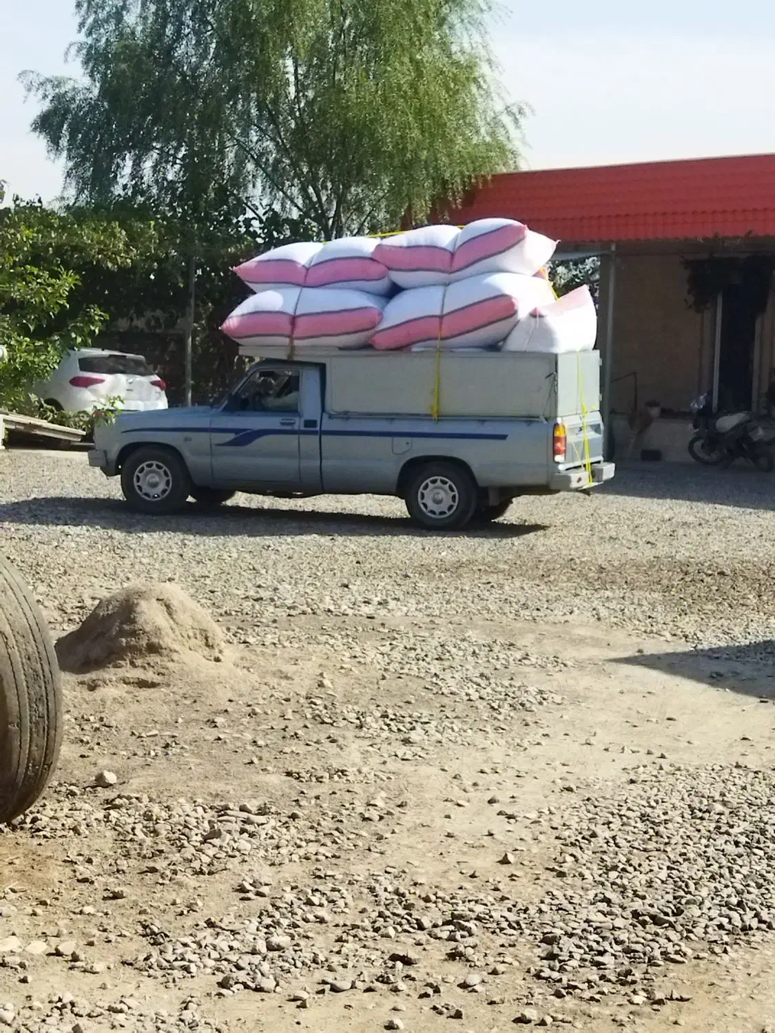 الیاف شمس ویسکوز توپی وساده|رختخواب، بالش، پتو|آق قلا, |دیوار