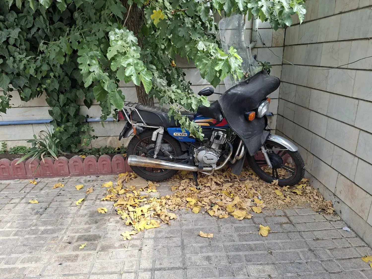 هوندا ۱۲۵ هانی موتور مدل ۱۴۰۳|موتورسیکلت|تهران, کرمان|دیوار