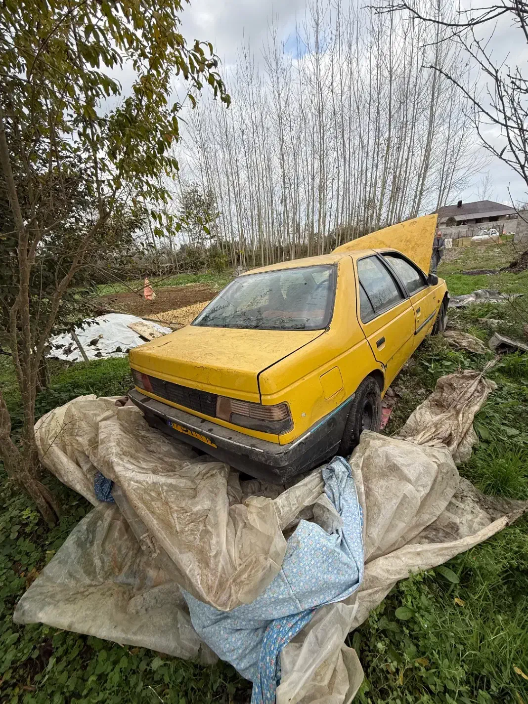 پژو روا مدل ۸۷ دو گانه کارخانه|خودرو سواری و وانت|رشت, حافظ آباد|دیوار