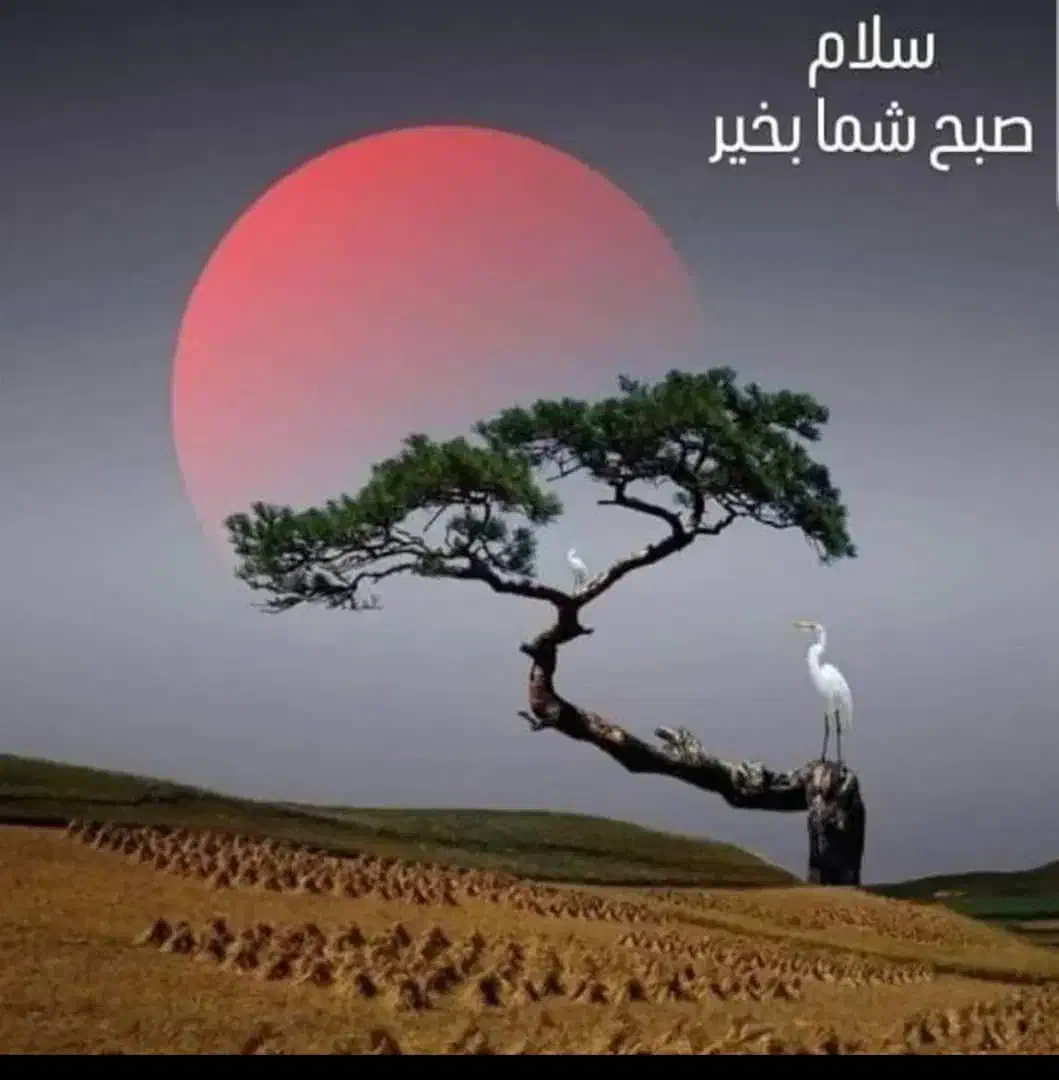 استخدام جهت سرایداری|استخدام سرایداری و نظافت|کرمان, |دیوار