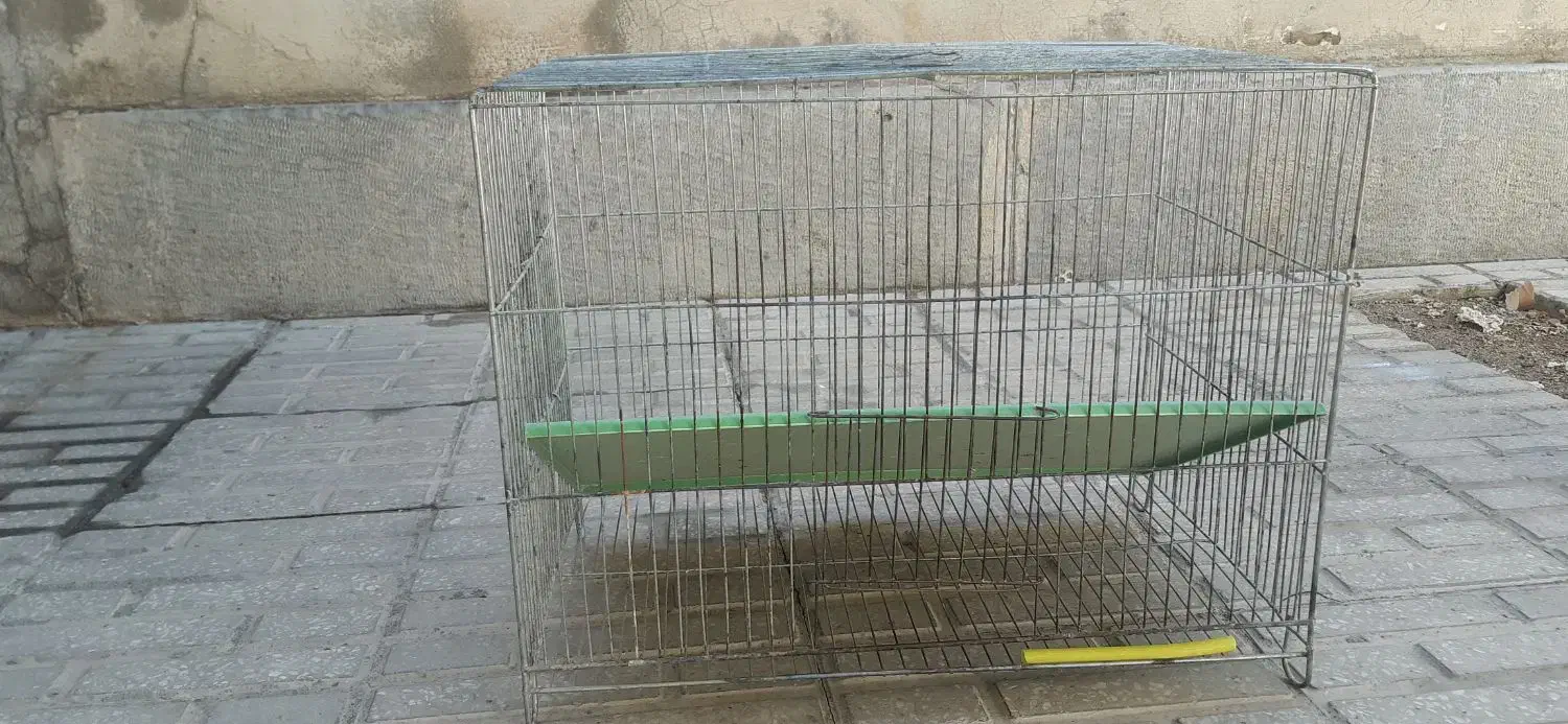 قفسه|لوازم جانبی حیوانات|صحنه, |دیوار