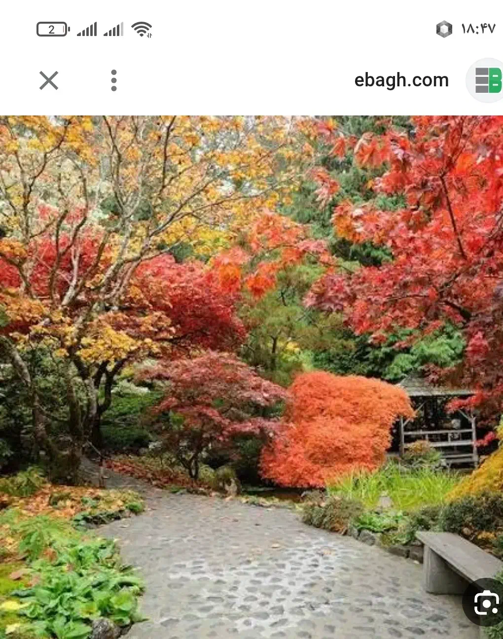 باغ کشاورزی نزدیک  بیرجند|فروش زمین و ملک کلنگی|خوسف, |دیوار