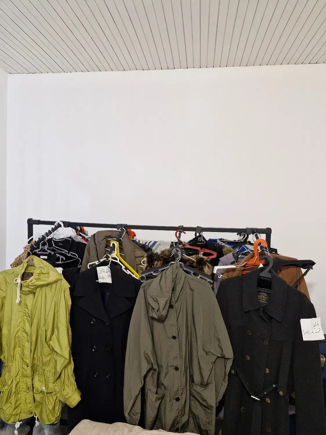 بارانی زنانه|لباس|بابلسر, |دیوار