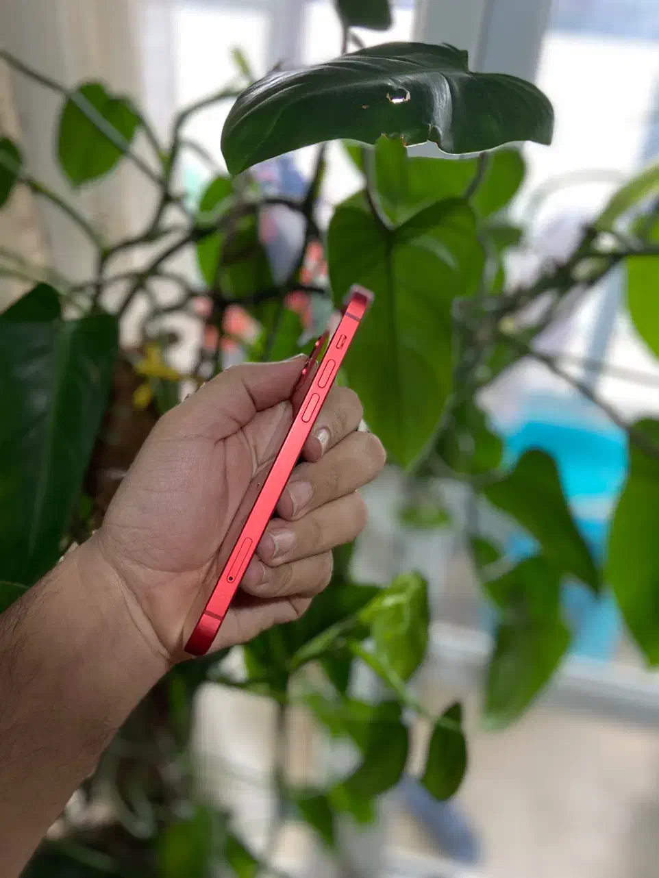 iphone 12  128G|موبایل|اهواز, رسالت|دیوار