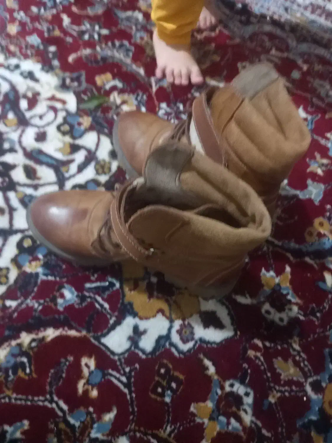 کفش|کیف، کفش، کمربند|شیراز, فرگاز|دیوار