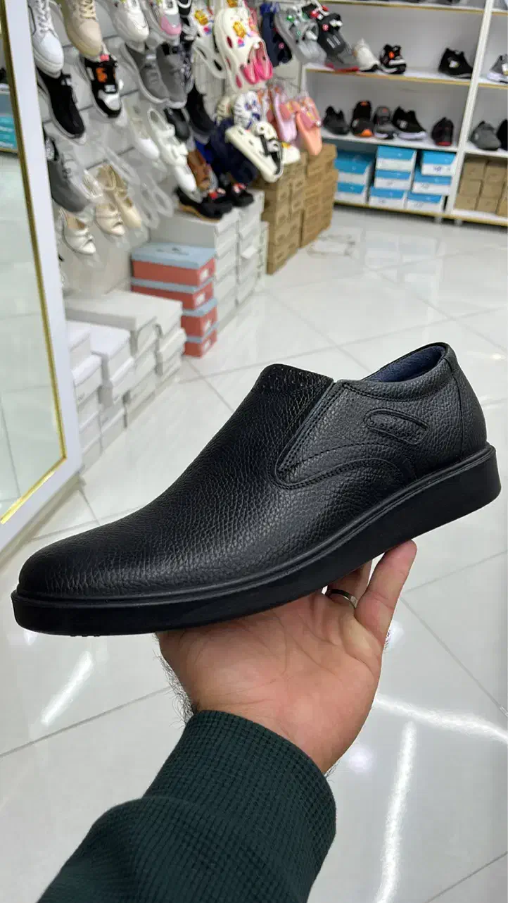 کفش اسپرت رسمی کالج زنانه مردانه بچگانه|کیف، کفش، کمربند|ابرکوه, |دیوار