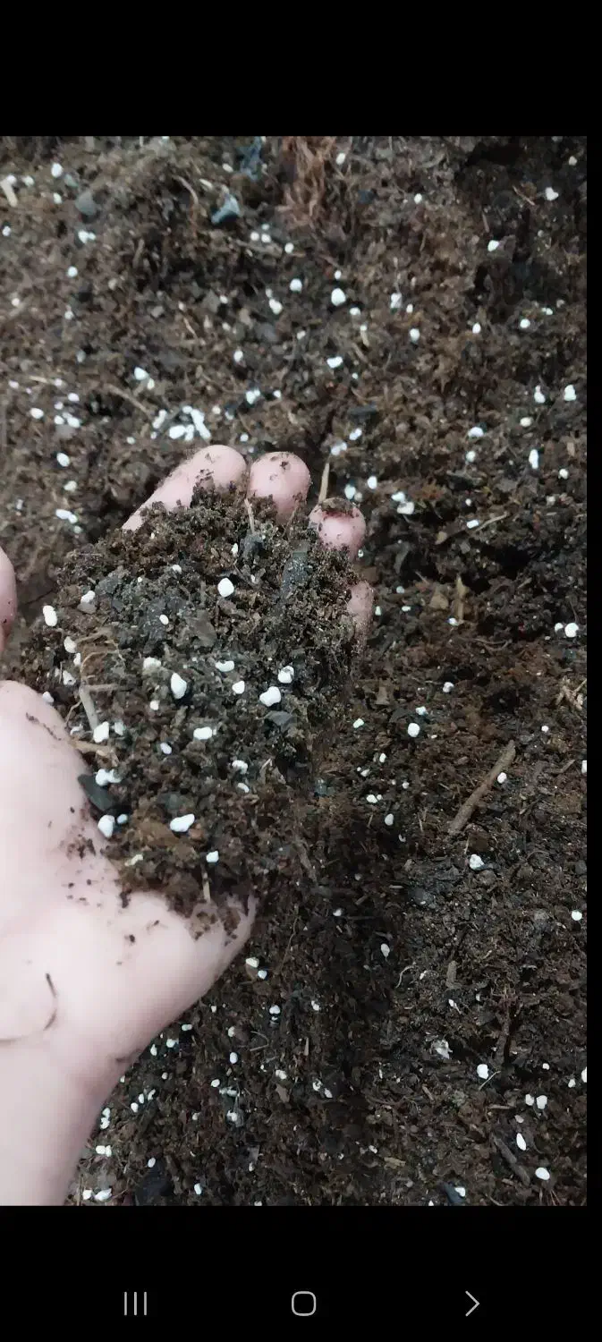 خاک مخصوص گیاهان آپارتمانی و سینی نشا و سبزی جات|گل و گیاه طبیعی|رودسر, |دیوار