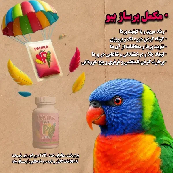 کاملترین مکمل پرسازی و رشد پر پرندگان|لوازم جانبی حیوانات|قم, نخودی|دیوار