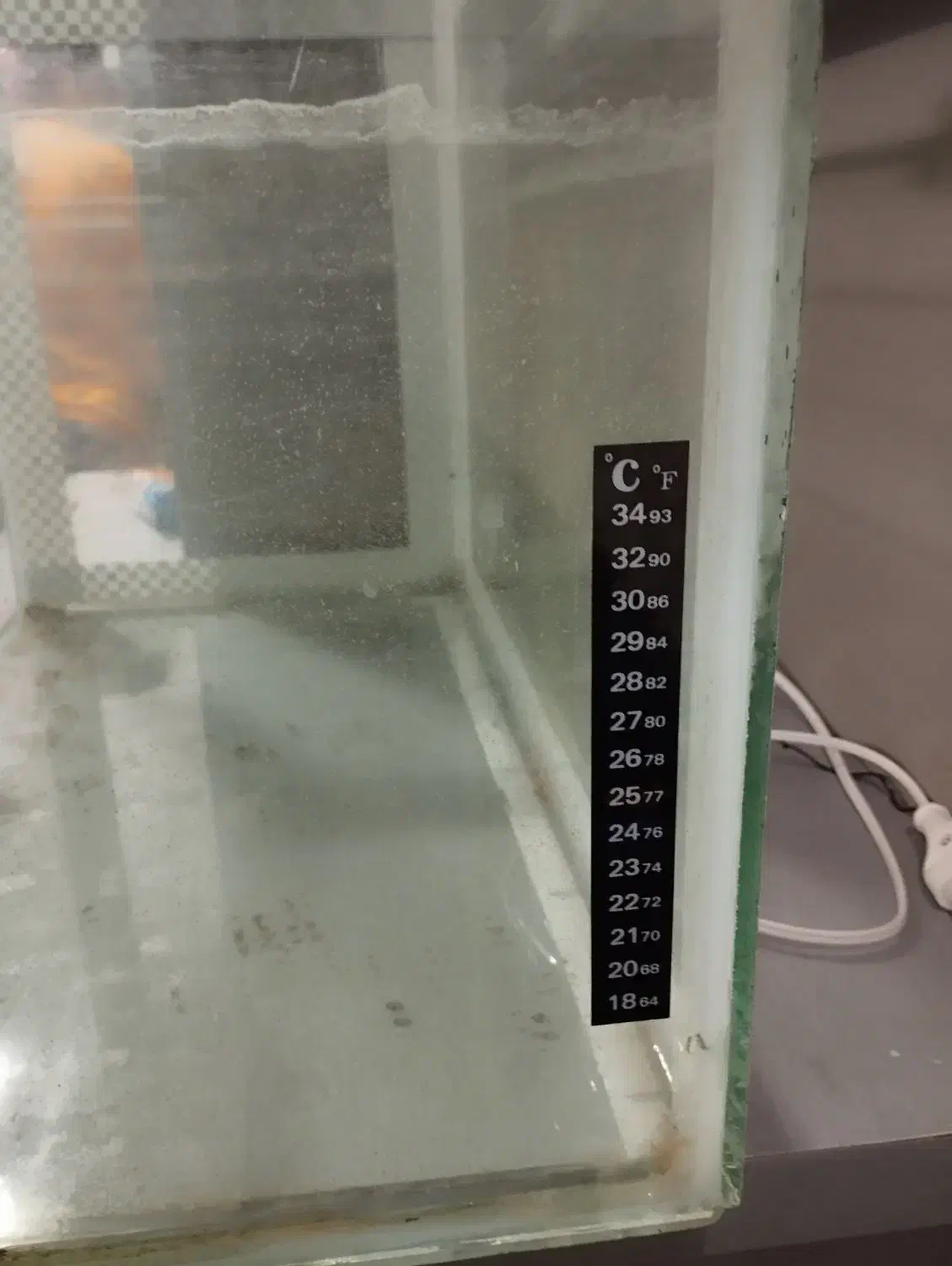 اکواریوم|ماهی|شاهینشهر, مسکن مهر|دیوار