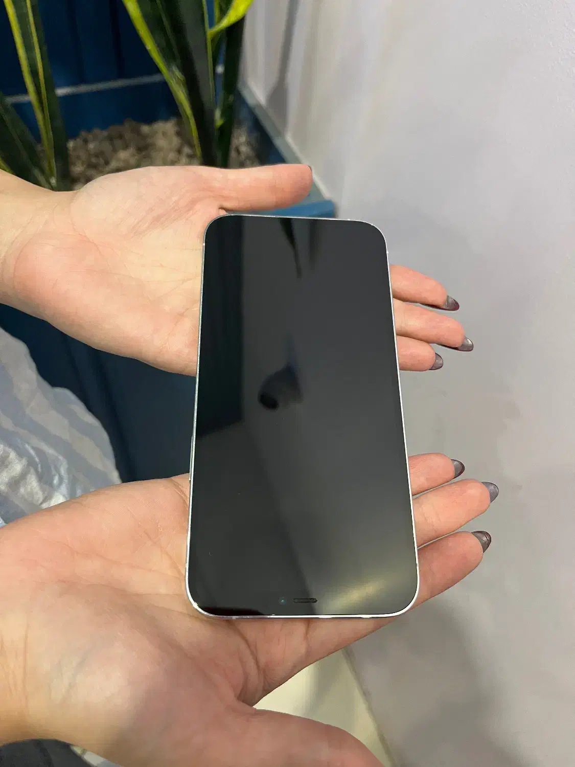 ایفون ۱۲ پرومکس|موبایل|گرگان, |دیوار