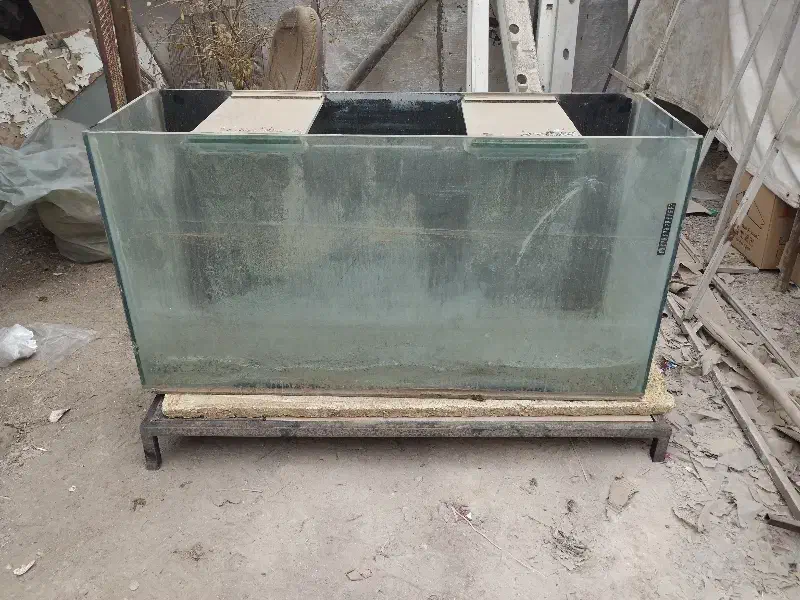 آکواریوم|ماهی|قم, صفائیه|دیوار