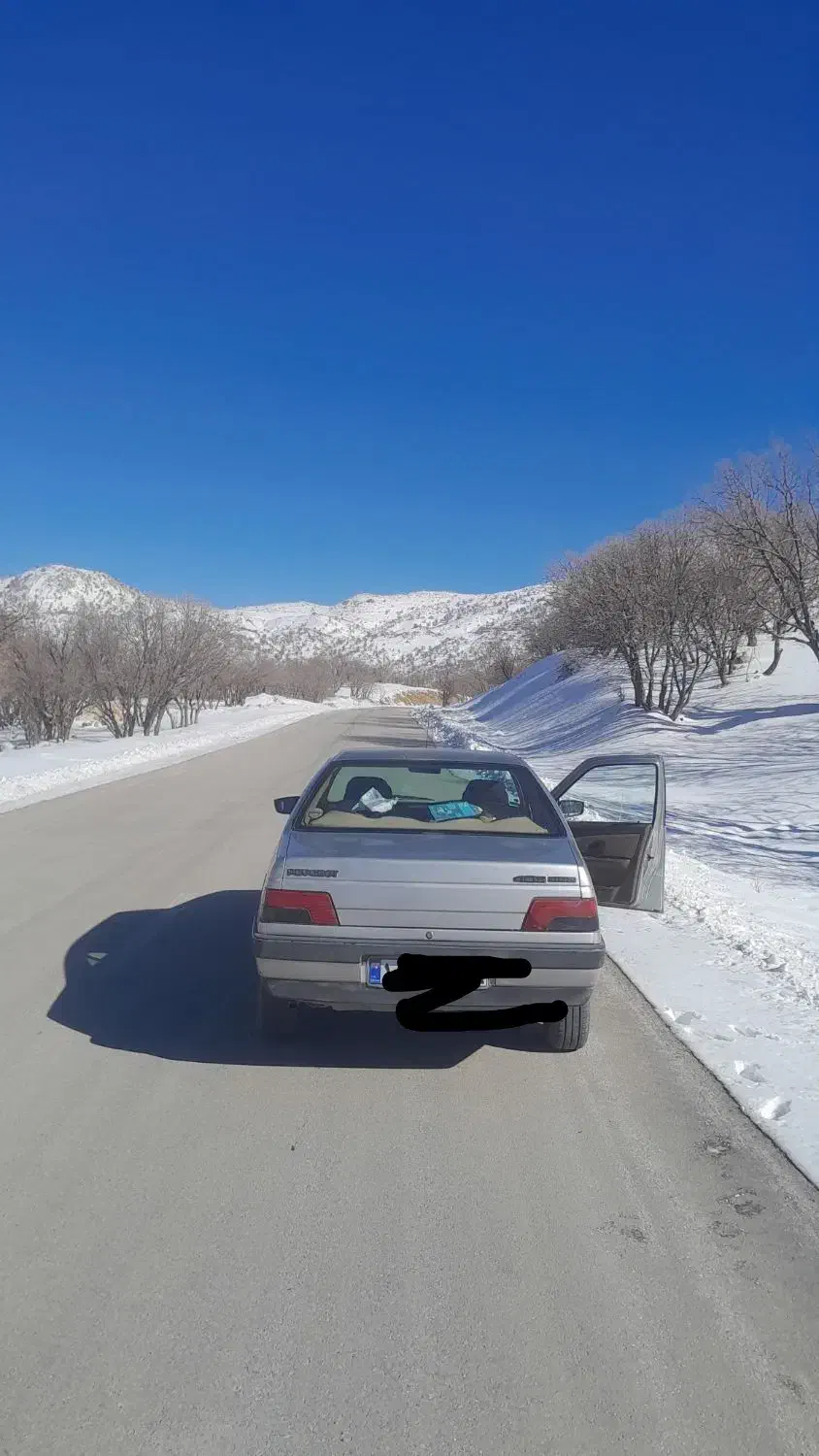 فروش۴۰۵مدل1396|خودرو سواری و وانت|سرپل ذهاب, |دیوار