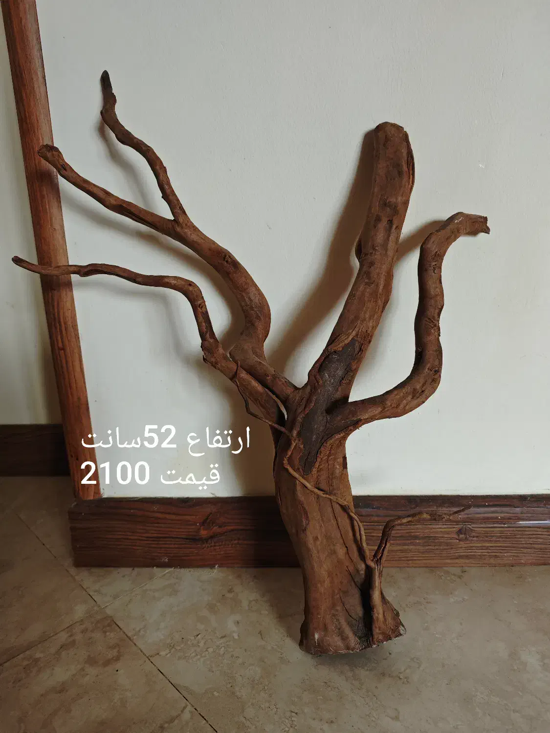 چوب آبنوس|ماهی|تهران, جنتآباد مرکزی|دیوار