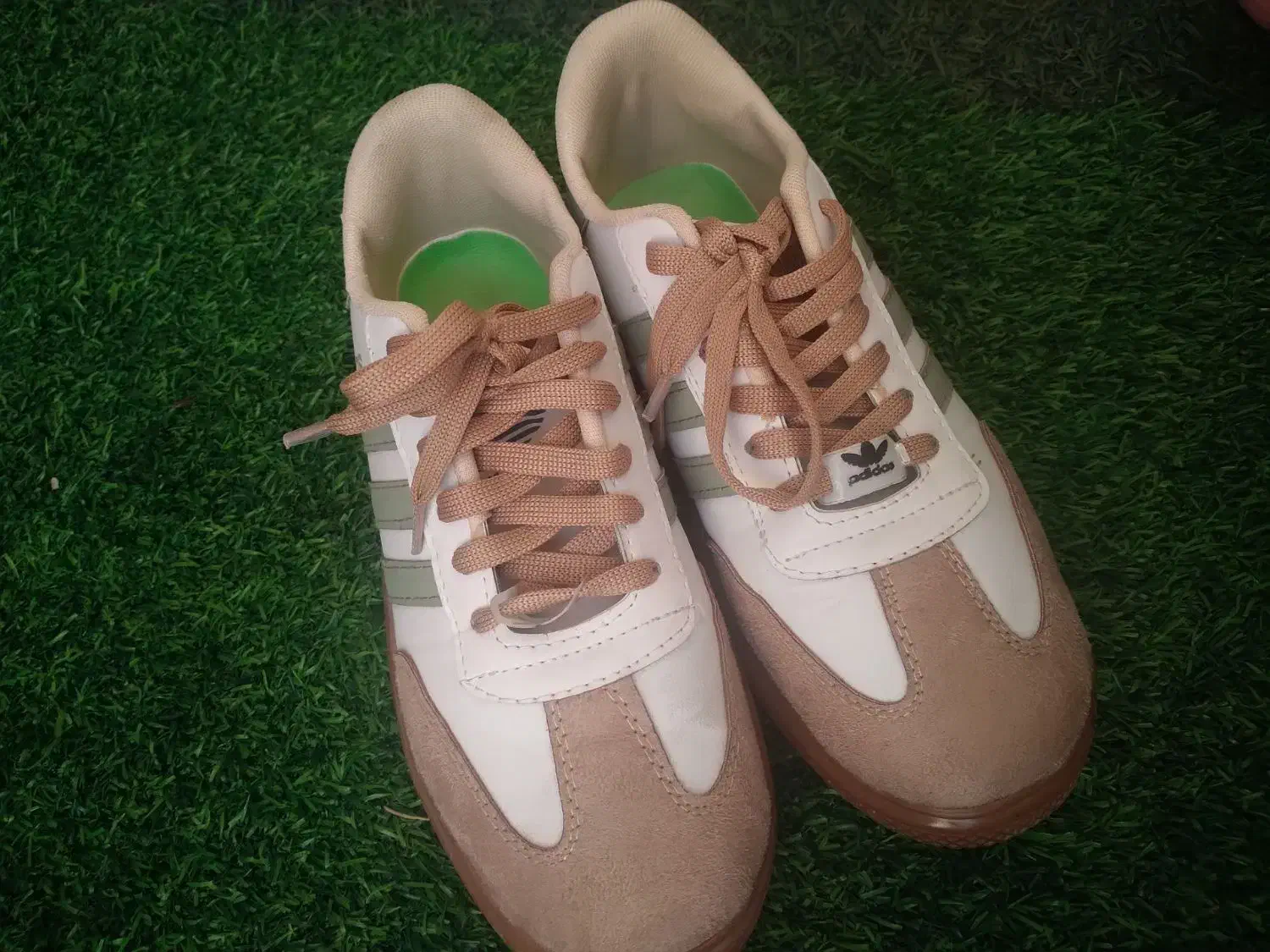 کفش سامبا|کیف، کفش، کمربند|تربت جام, شهید غلام زاده|دیوار