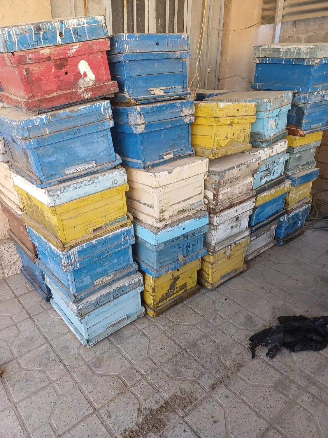 کندو زنبور عسل با قاب|حیوانات مزرعه|قیروکارزین, |دیوار