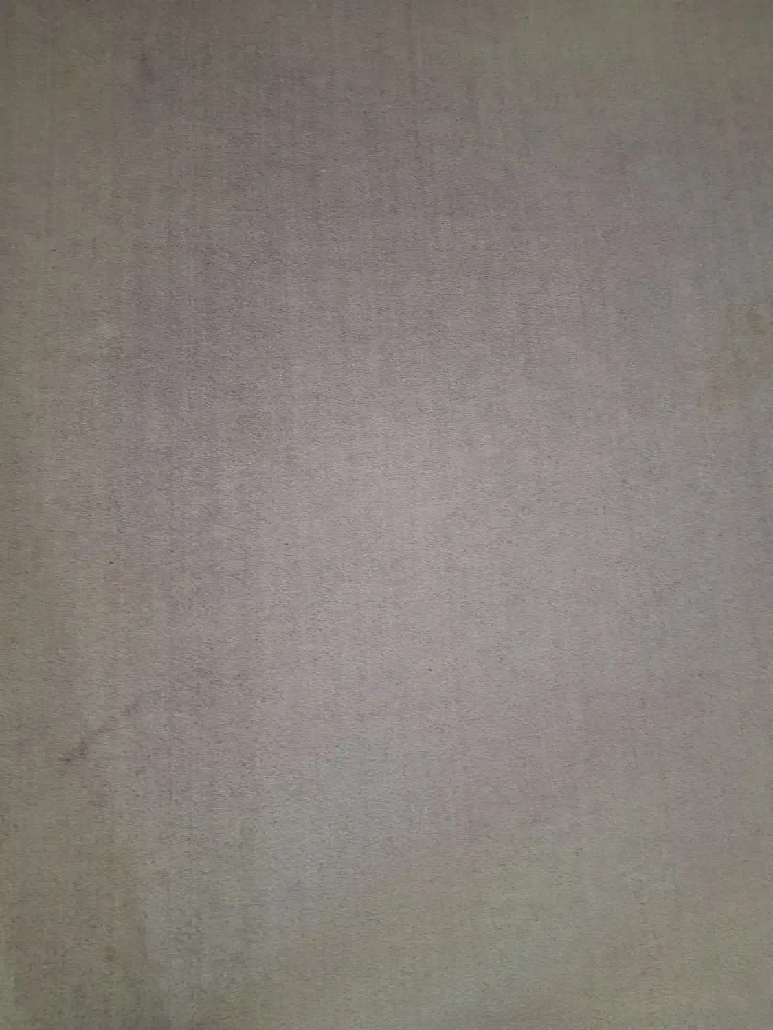 پالاز موکت|موکت|زیرآب, |دیوار