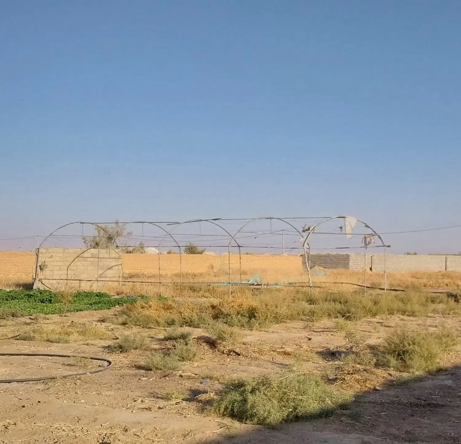 سازه فلزی گلخانه|مصالح و تجهیزات ساختمان|زارچ, |دیوار