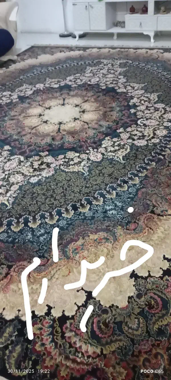 فرش۱۲متری|فرش|مشهد, شهید معقول|دیوار