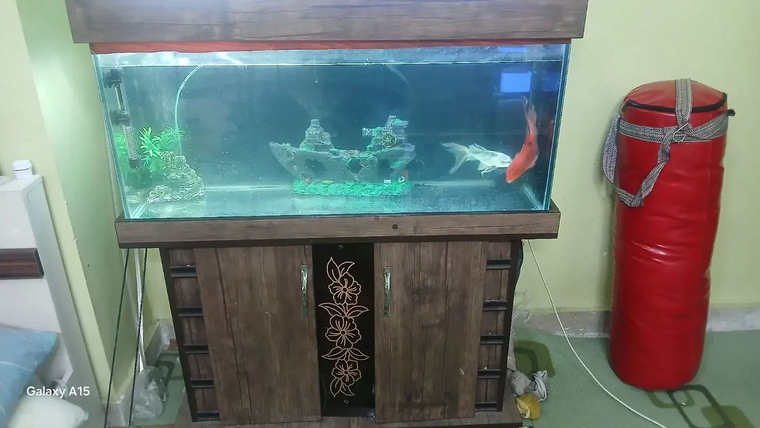 اکواریوم سالم|ماهی|رباطکریم, مسکن مهر آبشناسان|دیوار