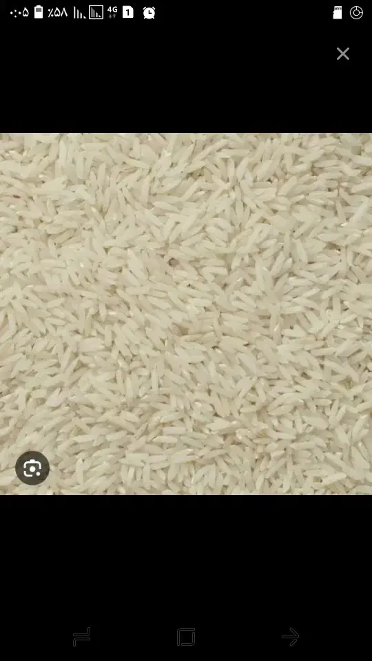 برنج هاشمی|خوردنی و آشامیدنی|رشت, آب و برق|دیوار