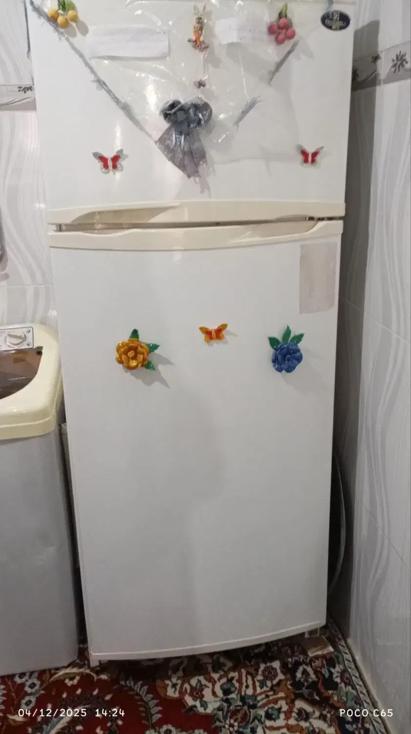 یخچال یک قلو|یخچال و فریزر|تربت‌حیدریه, ده پائین|دیوار