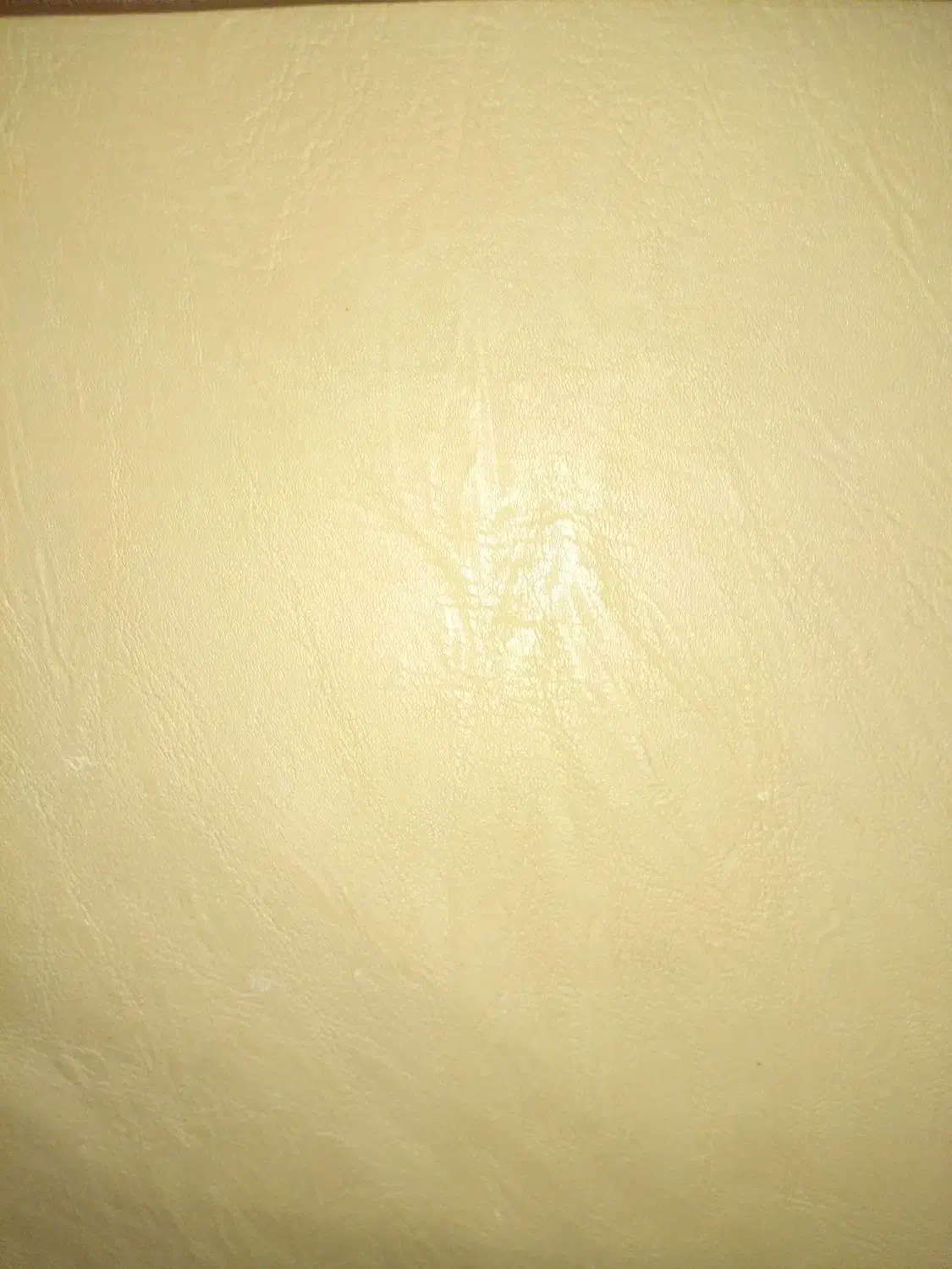 زمین ۱۵۳ متردو بر روستای جهان اباد|فروش زمین و ملک کلنگی|نهاوند, |دیوار