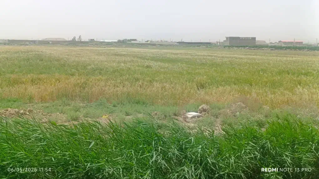 3200 متر زمین کشاورزی در محمد آباد قرچک|فروش زمین و ملک کلنگی|قرچک, محمد آباد|دیوار