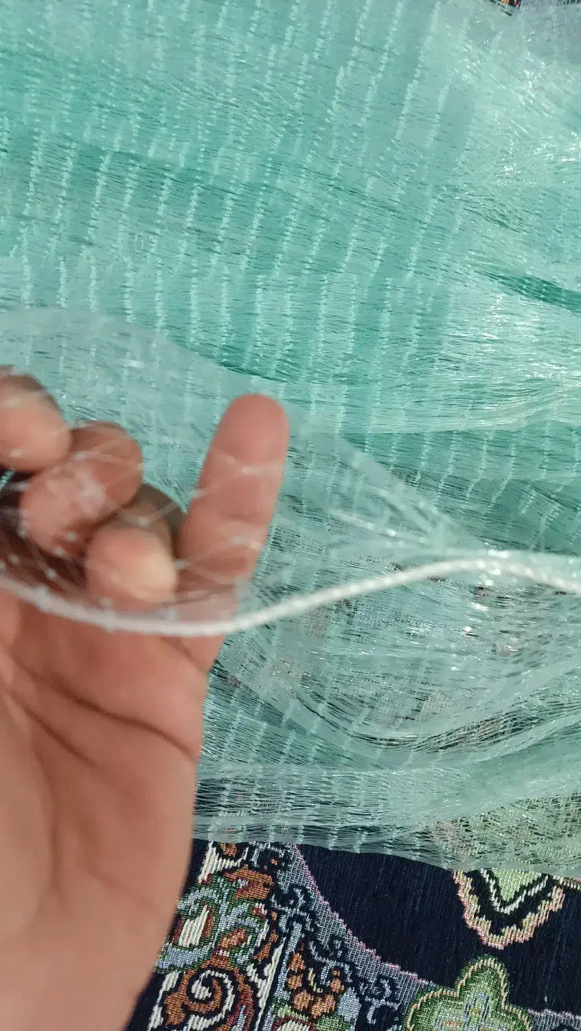 کرف ماهیگیری|ماهیگیری|بندر گناوه, |دیوار