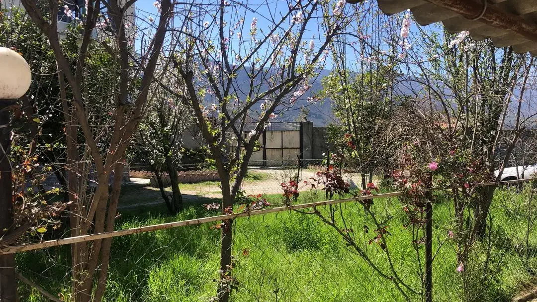 فروش واحد دامداری صنعتی ۲۳۲۱ متری با بنا|فروش دفتر صنعتی، کشاورزی، تجاری|نوکنده, |دیوار