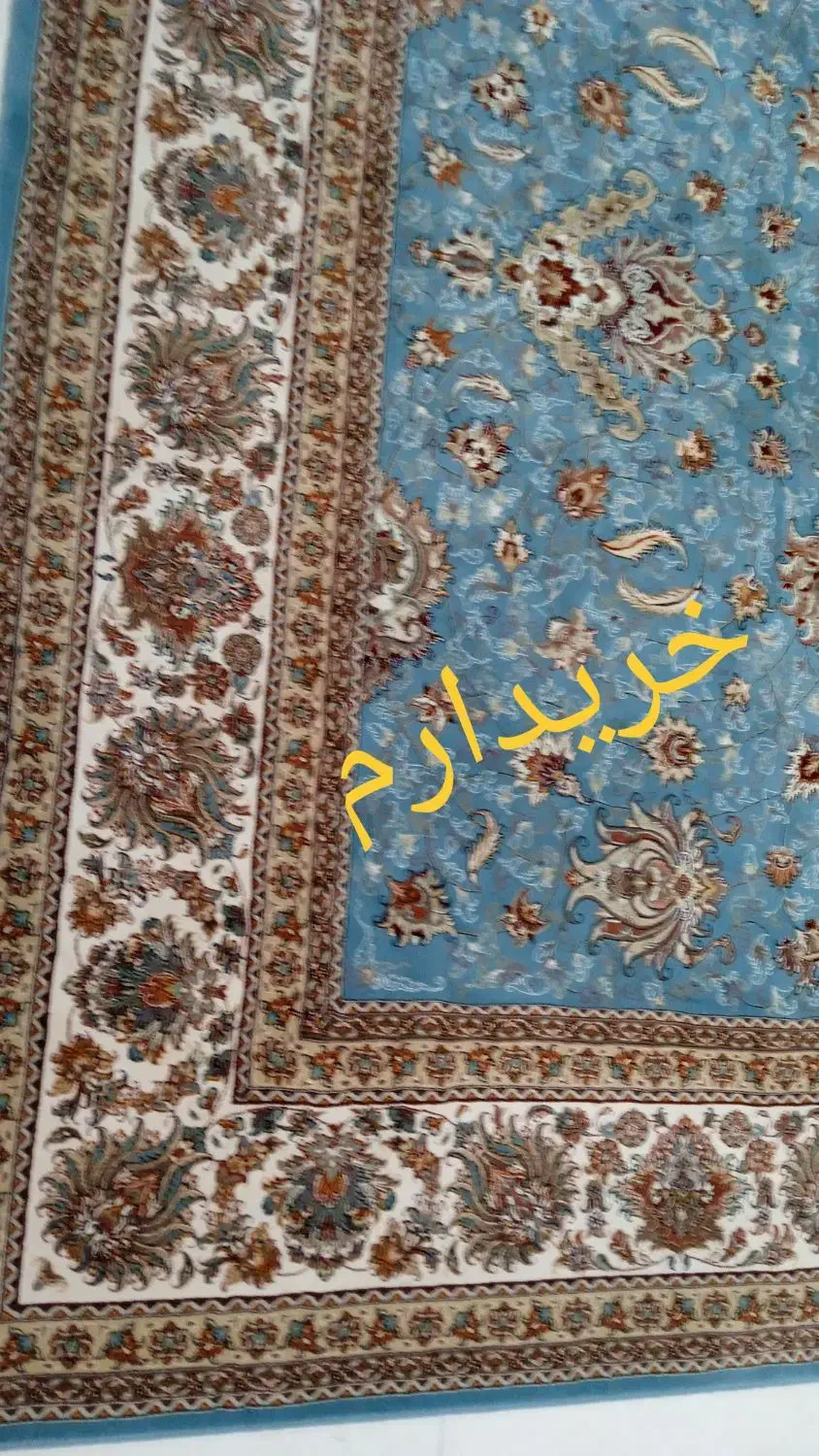 فرش|فرش|یاسوج, |دیوار